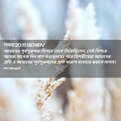 Picture 02 - গননা 20:15 BENIRV - আমাদের - Bible Verse Picture