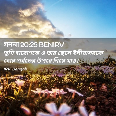 Picture 02 - গননা 20:25 BENIRV - তুমি হারোণকে ও তার - Bible Verse Picture