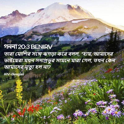 Picture 02 - গননা 20:3 BENIRV - তারা মোশির সঙ্গে - Bible Verse Picture