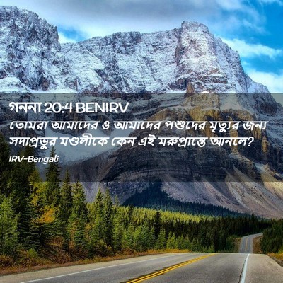 Picture 02 - গননা 20:4 BENIRV - তোমরা আমাদের ও - Bible Verse Picture
