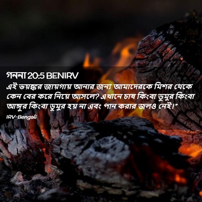 Picture 02 - গননা 20:5 BENIRV - এই ভয়ঙ্কর - Bible Verse Picture
