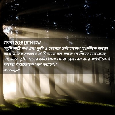 Picture 02 - গননা 20:8 BENIRV - “তুমি লাঠি নাও এবং - Bible Verse Picture