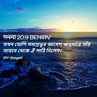 Picture 02 - গননা 20:9 BENIRV - তখন মোশি - Bible Verse Picture