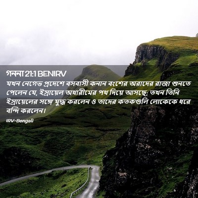 Picture 02 - গননা 21:1 BENIRV - যখন নেগেভ প্রদেশে - Bible Verse Picture
