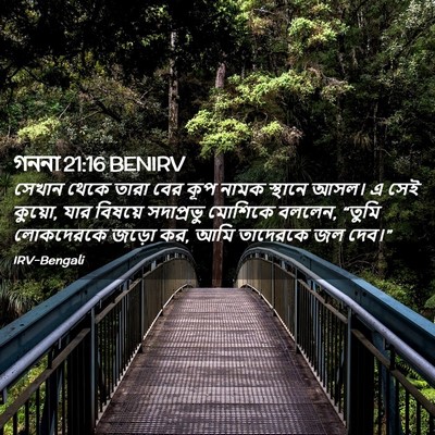 Picture 02 - গননা 21:16 BENIRV - সেখান থেকে তারা - Bible Verse Picture