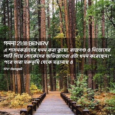 Picture 02 - গননা 21:18 BENIRV - এ শাসনকর্ত্তাদের - Bible Verse Picture