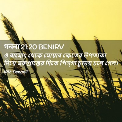 Picture 02 - গননা 21:20 BENIRV - ও বামোৎ থেকে - Bible Verse Picture