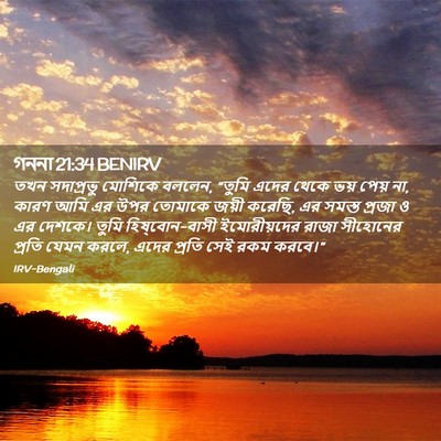 Picture 02 - গননা 21:34 BENIRV - তখন সদাপ্রভু - Bible Verse Picture