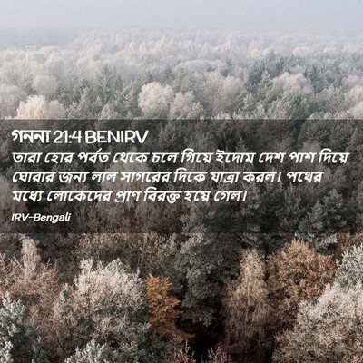 Picture 02 - গননা 21:4 BENIRV - তারা হোর পর্বত - Bible Verse Picture
