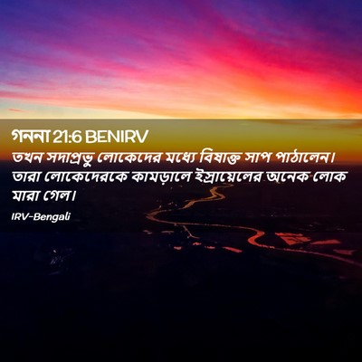 Picture 02 - গননা 21:6 BENIRV - তখন সদাপ্রভু - Bible Verse Picture