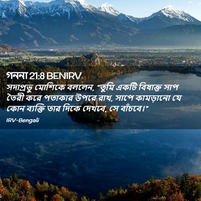Picture 02 - গননা 21:8 BENIRV - সদাপ্রভু মোশিকে - Bible Verse Picture