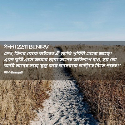Picture 02 - গননা 22:11 BENIRV - দেখ, মিশর থেকে - Bible Verse Picture
