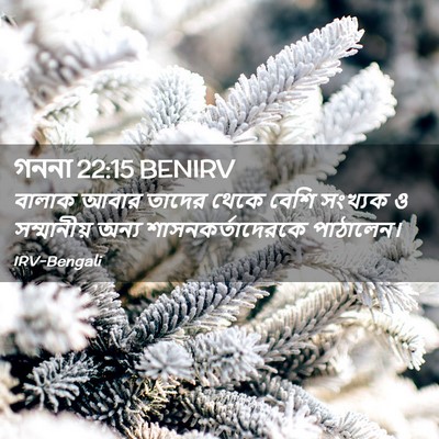 Picture 02 - গননা 22:15 BENIRV - বালাক আবার তাদের - Bible Verse Picture