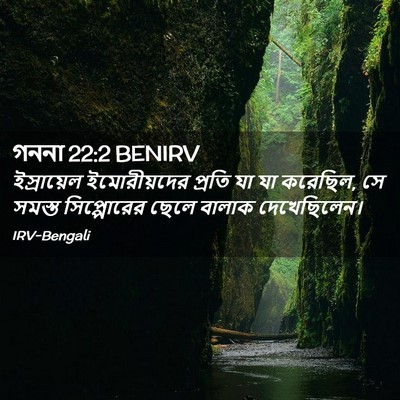 Picture 02 - গননা 22:2 BENIRV - ইস্রায়েল - Bible Verse Picture