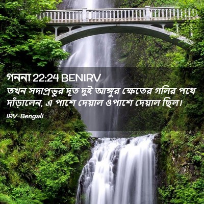Picture 02 - গননা 22:24 BENIRV - তখন সদাপ্রভুর দূত - Bible Verse Picture