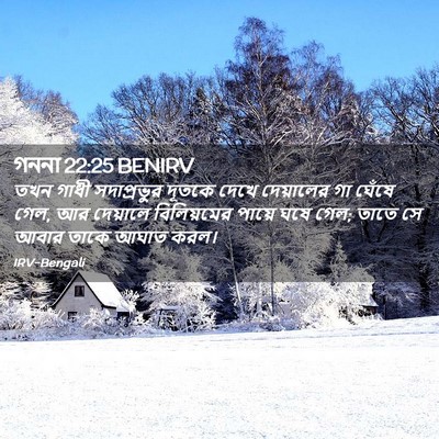 Picture 02 - গননা 22:25 BENIRV - তখন গাধী - Bible Verse Picture
