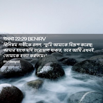 Picture 02 - গননা 22:29 BENIRV - বিলিয়ম গাধীকে - Bible Verse Picture