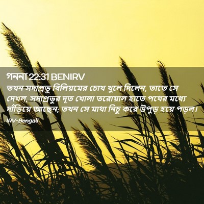 Picture 02 - গননা 22:31 BENIRV - তখন সদাপ্রভু - Bible Verse Picture