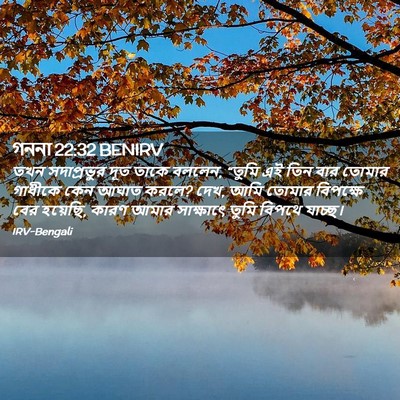 Picture 02 - গননা 22:32 BENIRV - তখন সদাপ্রভুর দূত - Bible Verse Picture