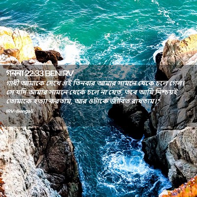Picture 02 - গননা 22:33 BENIRV - গাধী আমাকে দেখে এই - Bible Verse Picture