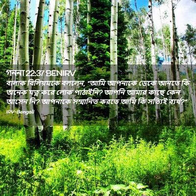 Picture 02 - গননা 22:37 BENIRV - বালাক বিলিয়মকে - Bible Verse Picture
