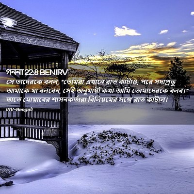 Picture 02 - গননা 22:8 BENIRV - সে তাদেরকে বলল, - Bible Verse Picture