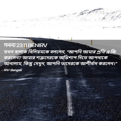 Picture 02 - গননা 23:11 BENIRV - তখন বালাক - Bible Verse Picture