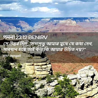 Picture 02 - গননা 23:12 BENIRV - সে উত্তর দিল, - Bible Verse Picture