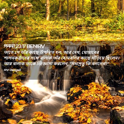 Picture 02 - গননা 23:17 BENIRV - তাতে সে তাঁর কাছে - Bible Verse Picture