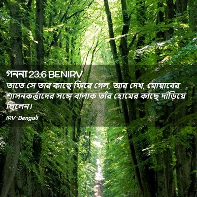 Picture 02 - গননা 23:6 BENIRV - তাতে সে তার কাছে - Bible Verse Picture