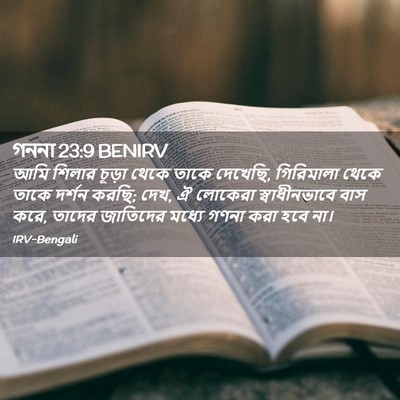 Picture 02 - গননা 23:9 BENIRV - আমি শিলার চূড়া - Bible Verse Picture