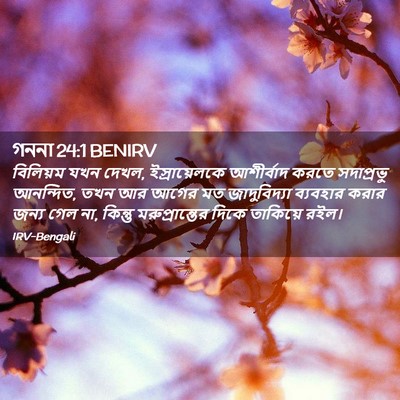 Picture 02 - গননা 24:1 BENIRV - বিলিয়ম যখন দেখল, - Bible Verse Picture