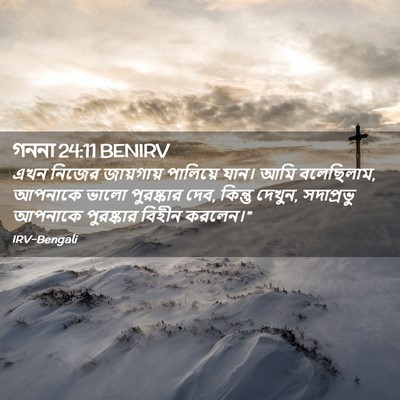 Picture 02 - গননা 24:11 BENIRV - এখন নিজের - Bible Verse Picture