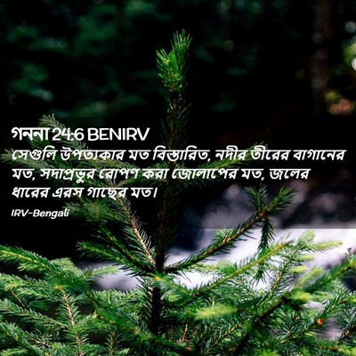 Picture 02 - গননা 24:6 BENIRV - সেগুলি উপত্যকার - Bible Verse Picture