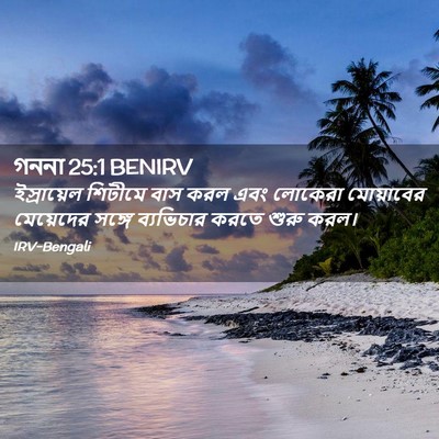 Picture 02 - গননা 25:1 BENIRV - ইস্রায়েল শিটীমে - Bible Verse Picture
