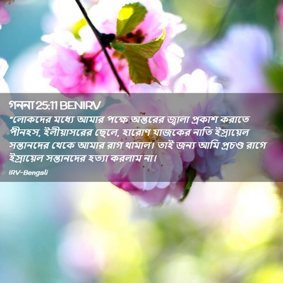 Picture 02 - গননা 25:11 BENIRV - “লোকদের মধ্যে - Bible Verse Picture