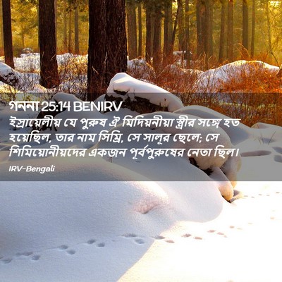 Picture 02 - গননা 25:14 BENIRV - ইস্রায়েলীয় যে - Bible Verse Picture