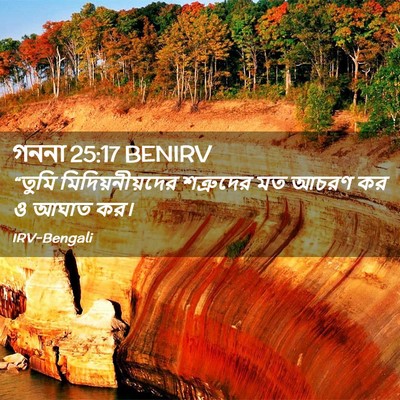 Picture 02 - গননা 25:17 BENIRV - “তুমি - Bible Verse Picture