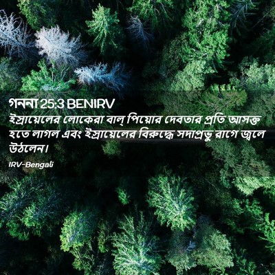 Picture 02 - গননা 25:3 BENIRV - ইস্রায়েলের - Bible Verse Picture