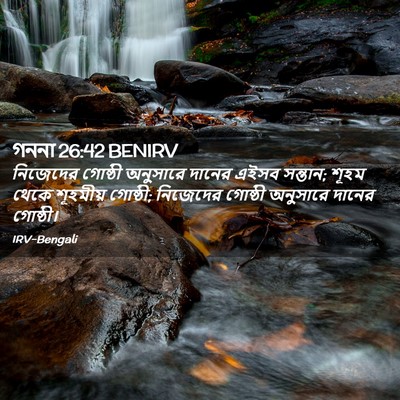 Picture 02 - গননা 26:42 BENIRV - নিজেদের গোষ্ঠী - Bible Verse Picture