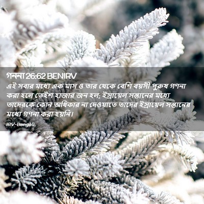 Picture 02 - গননা 26:62 BENIRV - এই সবার মধ্যে এক - Bible Verse Picture
