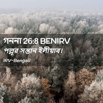Picture 02 - গননা 26:8 BENIRV - পল্লূর সন্তান - Bible Verse Picture