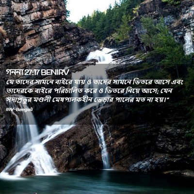 Picture 02 - গননা 27:17 BENIRV - যে তাদের সামনে - Bible Verse Picture