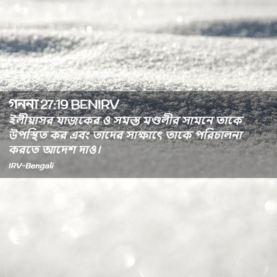 Picture 02 - গননা 27:19 BENIRV - ইলীয়াসর যাজকের ও - Bible Verse Picture