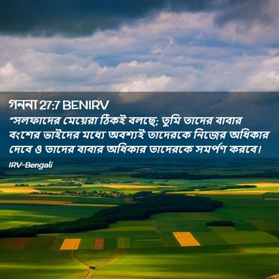 Picture 02 - গননা 27:7 BENIRV - “সলফাদের মেয়েরা - Bible Verse Picture