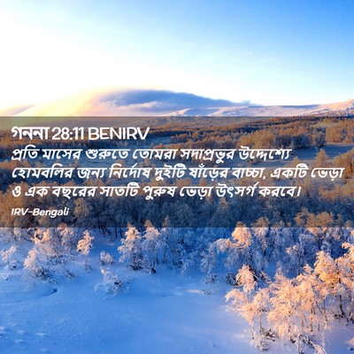 Picture 02 - গননা 28:11 BENIRV - প্রতি মাসের - Bible Verse Picture