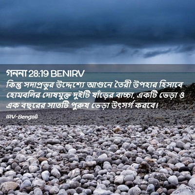 Picture 02 - গননা 28:19 BENIRV - কিন্তু সদাপ্রভুর - Bible Verse Picture