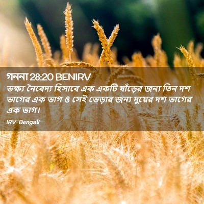 Picture 02 - গননা 28:20 BENIRV - ভক্ষ্য নৈবেদ্য - Bible Verse Picture