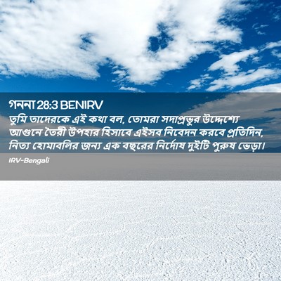Picture 02 - গননা 28:3 BENIRV - তুমি তাদেরকে এই - Bible Verse Picture