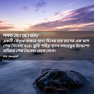 Picture 02 - গননা 28:7 BENIRV - একটি ভেড়ার - Bible Verse Picture